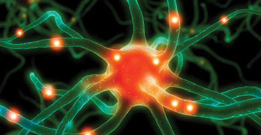 Neurology