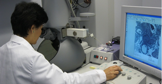 Electron Microscopy