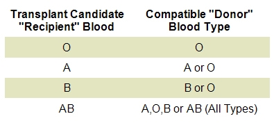 Compatible blood type chart