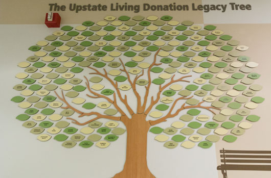 Living Donation Legacy Tree helps celebrate life and raises awareness of organ donation 