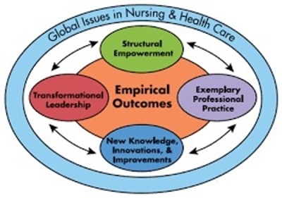 empirical research in nursing